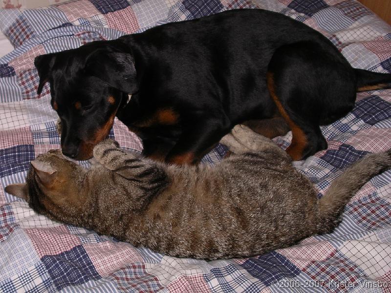 IMGP0275
