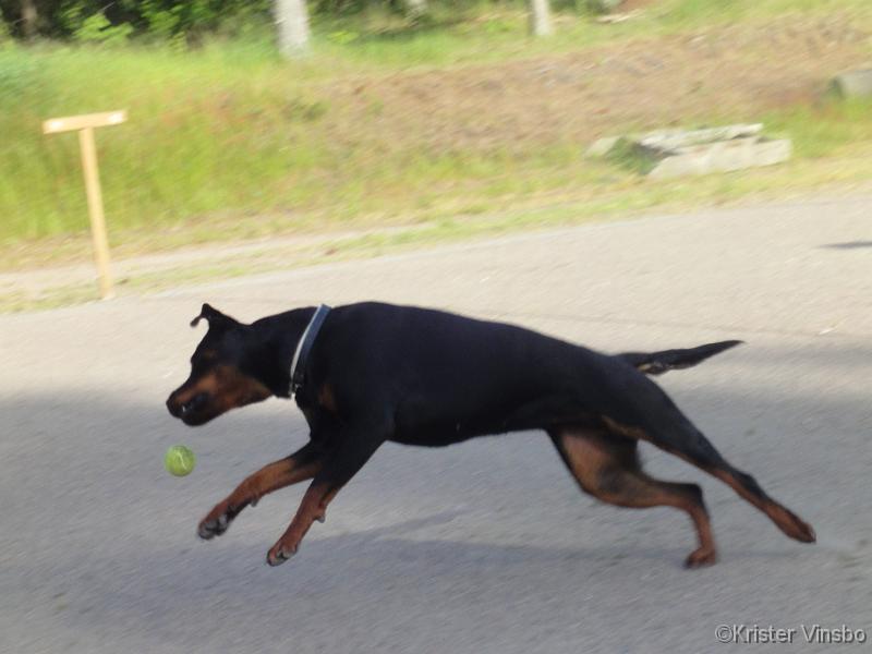 DSC01071