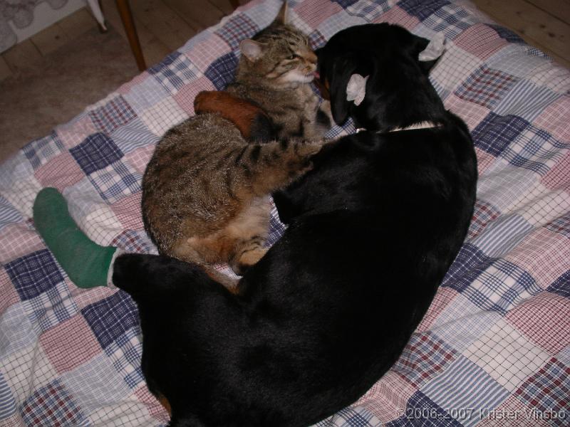 IMGP0301
