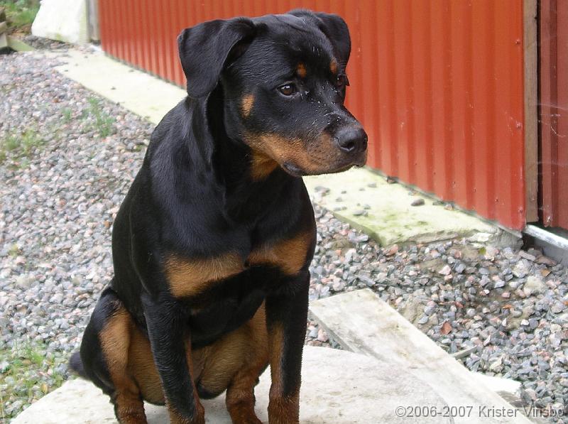 IMGP0588