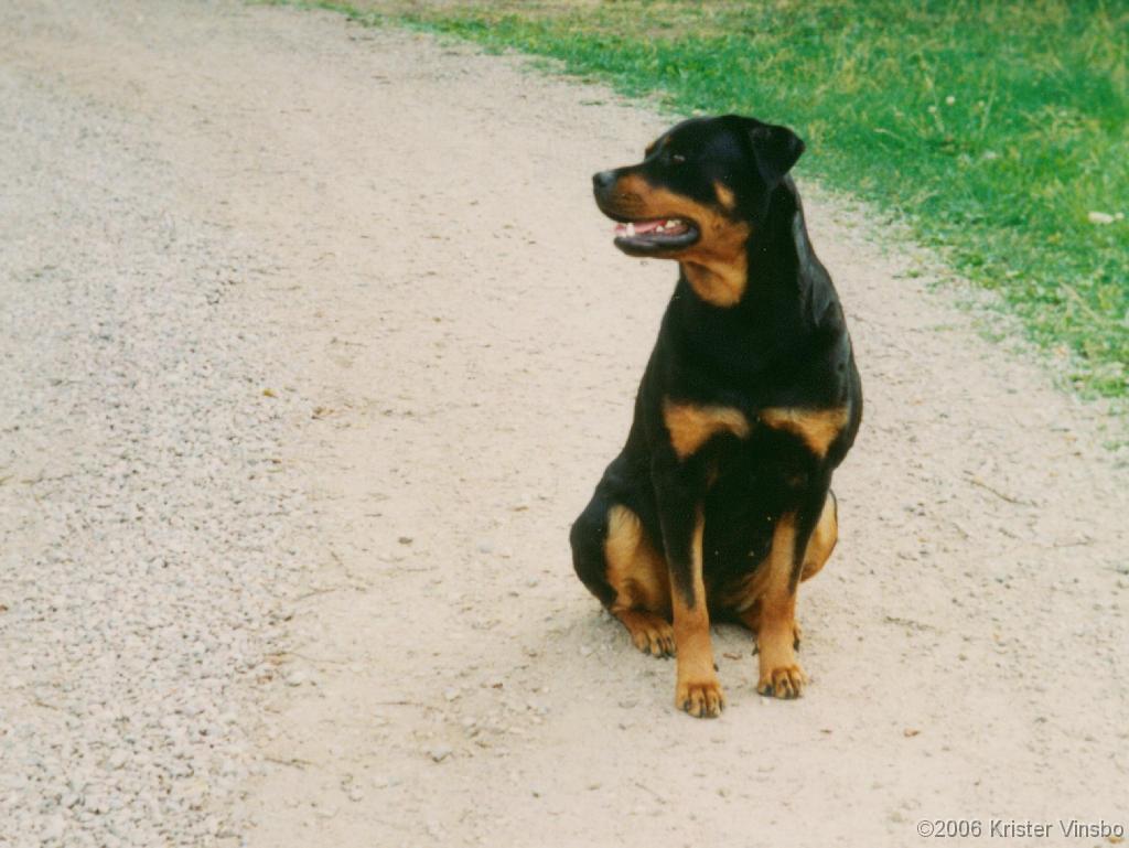 Tracy_053