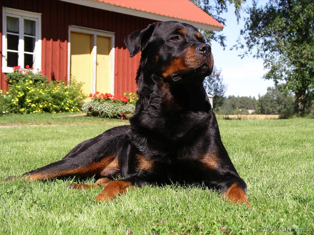 IMGP0467_p1