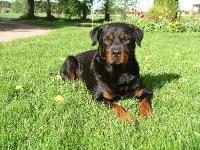 uffe5