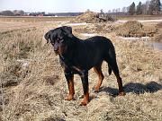uffe6