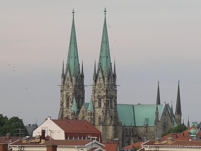 IMGP0915