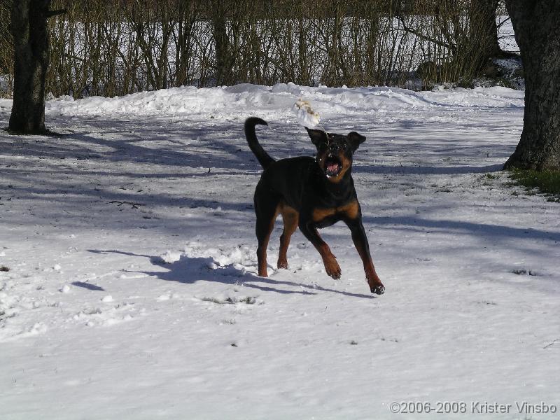 IMGP0952