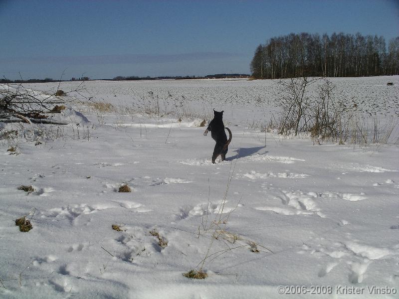 IMGP0968