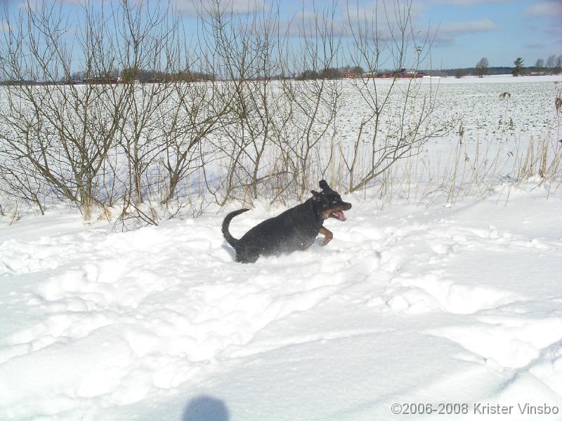 IMGP0970