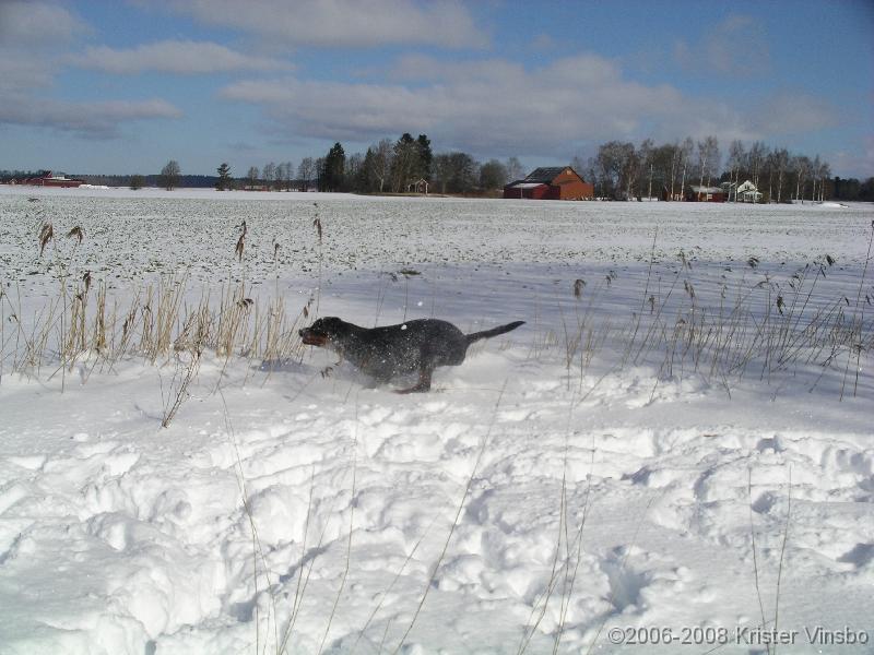 IMGP0975