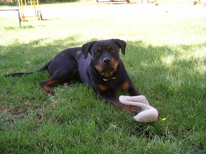 IMGP1357