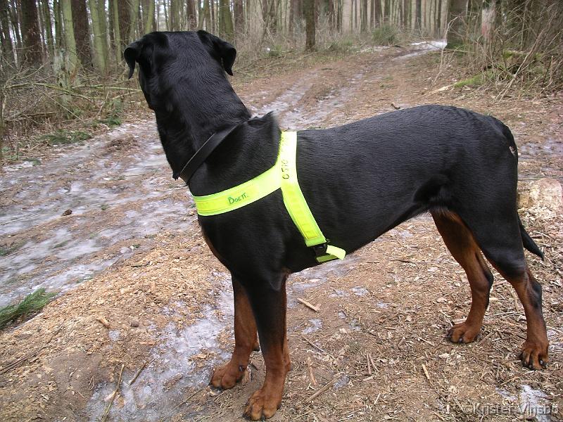 IMGP2243
