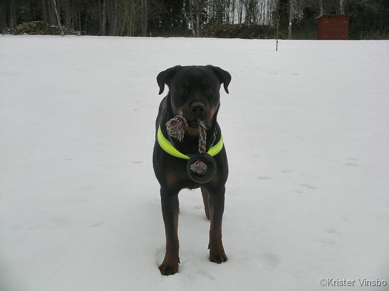 IMGP2257