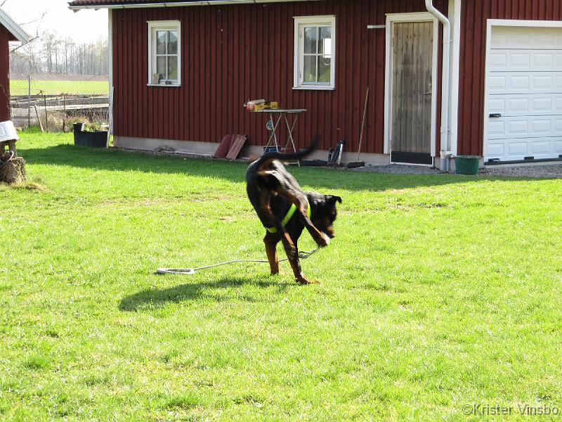 IMG_0331