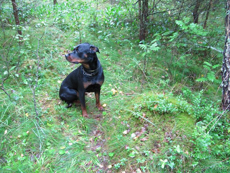 IMG_0929
