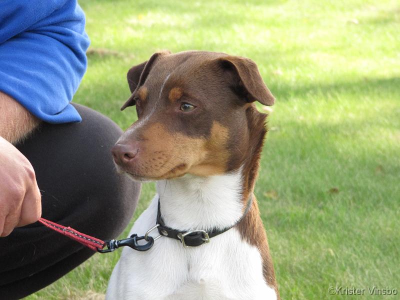 IMG_1072