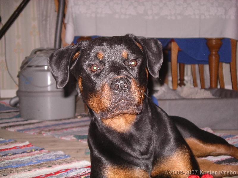 IMGP0767