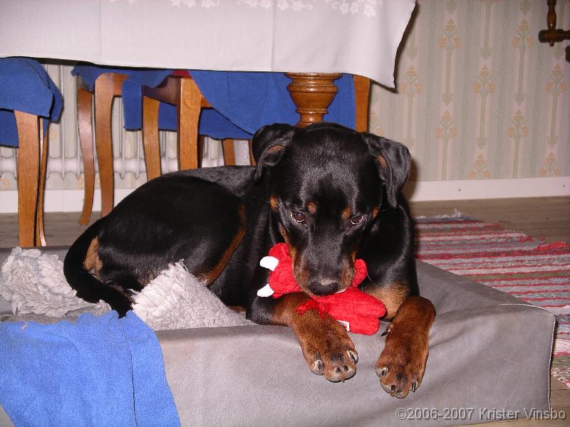 IMGP0771