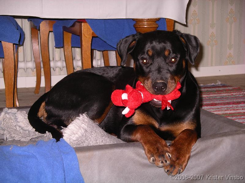 IMGP0772