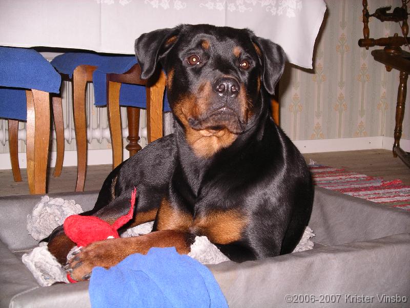 IMGP0775
