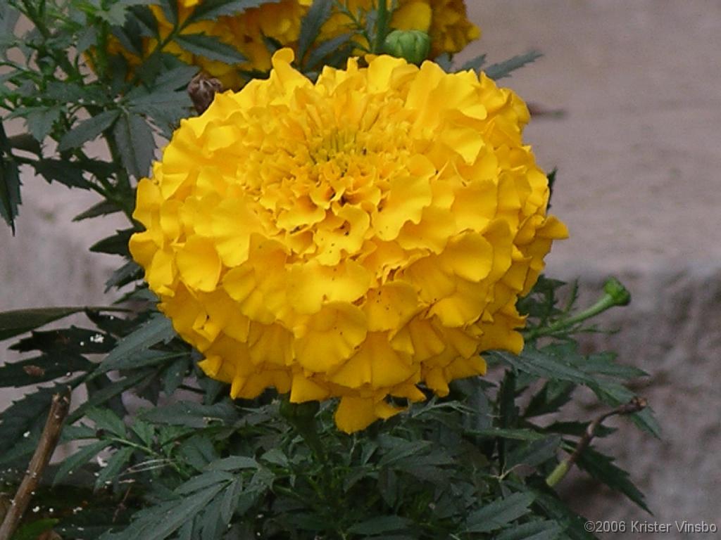 Bild 027