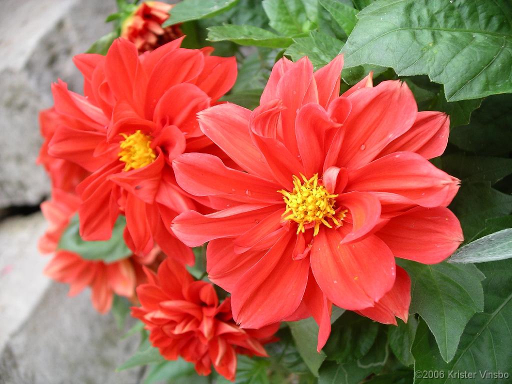 Bild 030