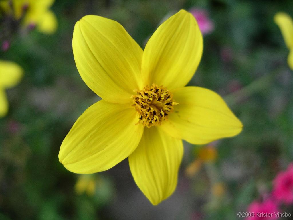 IMGP0790