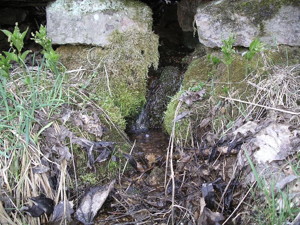 IMGP2726
