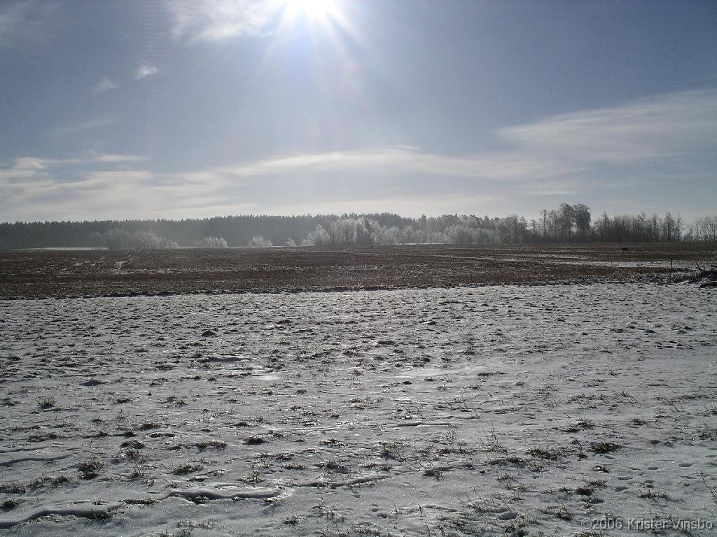 IMGP2432