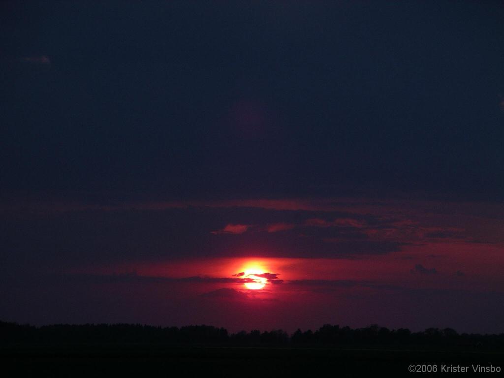 IMGP3478