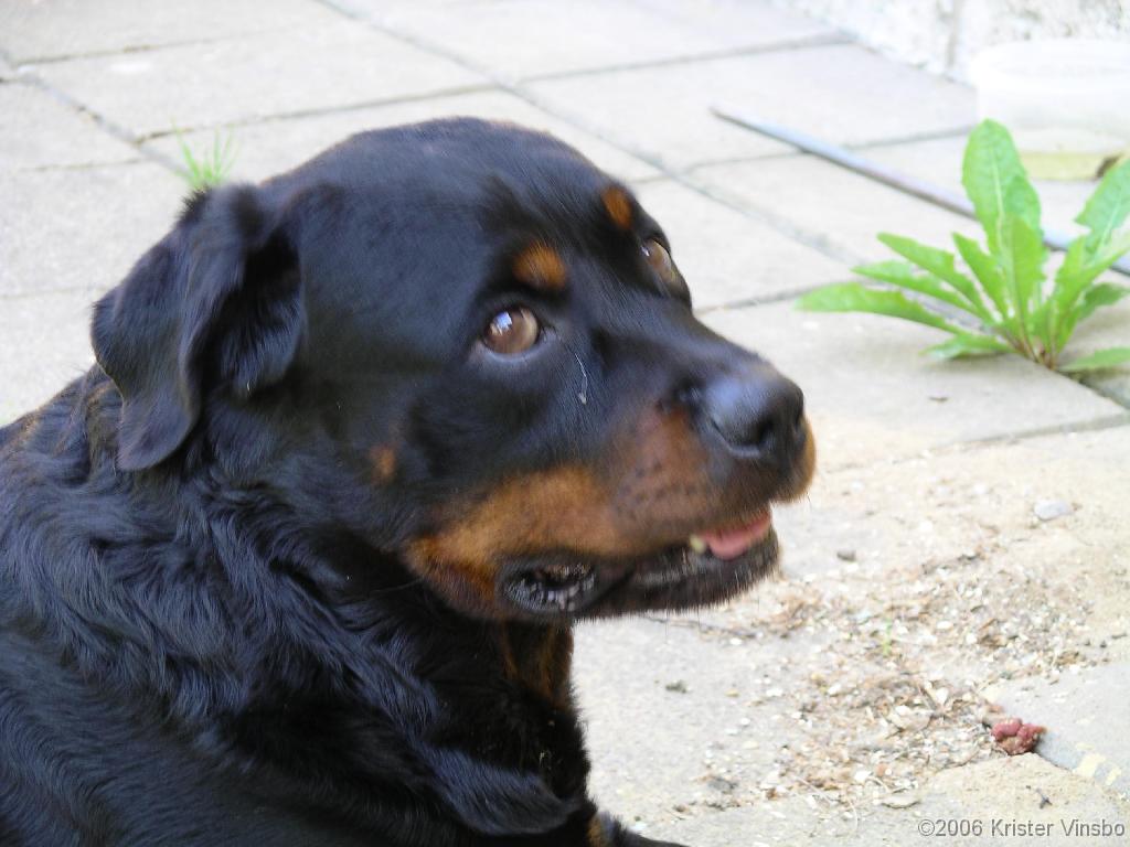 IMGP0710