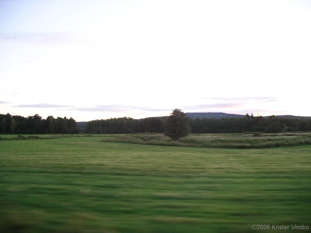 IMGP1194